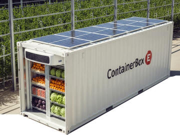 container reefer per verdura frutta 