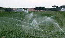 irrigazione campi container desalinizzazione